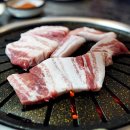 돼지와 건강 이미지