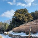 동삼마을회관 이미지