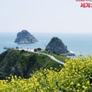 부산분포문화체육센터 네이버블로그