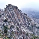 경기도 수원시 팔달구 정조로 이미지