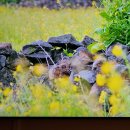 동쪽마을 이미지