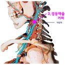 수승화강 - 뇌 압력 낮추기와 치매 예방 1분의 장수 운동 비법 이미지