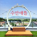 정원뜰 | 김해 대동 수안 마을 예쁜 카페 수안애뜰 내돈내산 후기 (수국 정원, 루프탑 뷰)