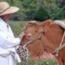횡성한우프라자 우천점
