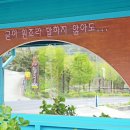백년유자 - 남해군 동부대로 2692 | 백년유자