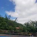 마메별