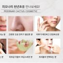 피오나화장품 이미지