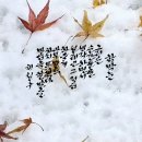 함박눈