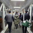 아싸골프 | 제주도 겨울골프 크라운CC 페어웨이 그린 솔직한후기