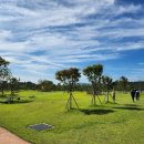 태성파크 이미지