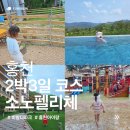 한가족목장 | [홍천] 비발디파크에서 2박3일｜소노펠리체 실버｜워터파크,키즈카페 등 부대시설 할인 및 장,단점 후기