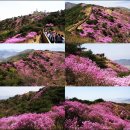 명산기사식당 Daum카페
