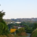 삐노(PINO) 이미지