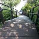 응봉공원2 이미지