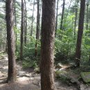 장동산림욕장 이미지