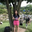 성근농장 | 캠핑의 고향 옥천 마로니에숲 그리고 캠핑페스티벌