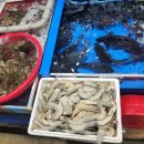 우성수산 이미지