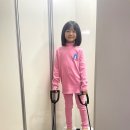 (주)어스텝퍼더 | 캘리스테판 스텝퍼 찐사용 후기｜육아맘의 집콕 운동 루틴 완성기