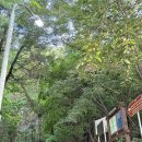 석성산 등산로 | 용인시청 가볍게 등산하기 좋은 석성산 가을 산책 후기