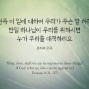 하리요8