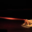 하늘언덕 이미지