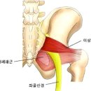 운동과건강 1:1 전문운동센터 이미지