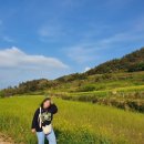 청산도13월펜션 이미지