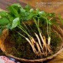 빛고을농장 이미지