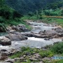 금당계곡 펜션 이미지