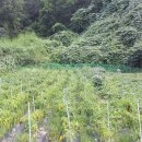 고탄리마을회관 이미지