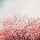 포인트빌