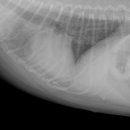 다나음동물병원 이미지