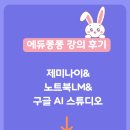 [강의 후기] 구글 3총사 #제미나이 #노트북LM #구글AI 스튜디오