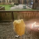 헬로우 | 광주 캠핑 식당 찾는다면? 동천동에서 캠핑 감성 제대로 "헬로우텍사스바베큐" 후기