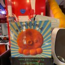 여수 낭만포차거리 맛집 &#34;돌문어상회&#34; 주차장 예약 돌문어삼합 후기