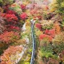 가을 단풍명소 경기도 곤지암 화담숲 단풍시기 모노레일 화담숲 예약 이미지