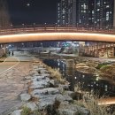 천내천 대구일보