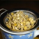 약초활용 생활건강법 이미지