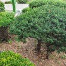 본죽&비빕밥cafe 이미지