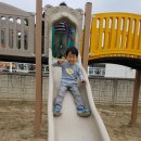 일봉초등학교 이미지