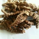 경희일생한의원 이미지