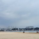칠포해수욕장 Daum카페