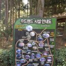 교촌치킨장흥점