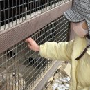 좌구산자연휴양림 이미지