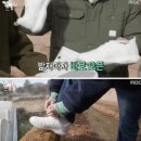 슈올즈제주