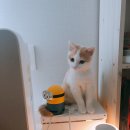 보람그루밍 이미지