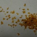 목사내아 이미지