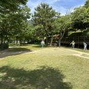 파크골프 입문 이미지