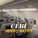 7175 | 김해-세부 에어부산 BX7175 탑승 후기 | 기내식 좌석 간격 에어버스 A321-200