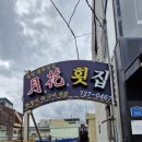 월화횟집 | [부산 기장맛집] 월화횟집｜칠암 아나고회(붕장어회) 내돈내산 솔직후기